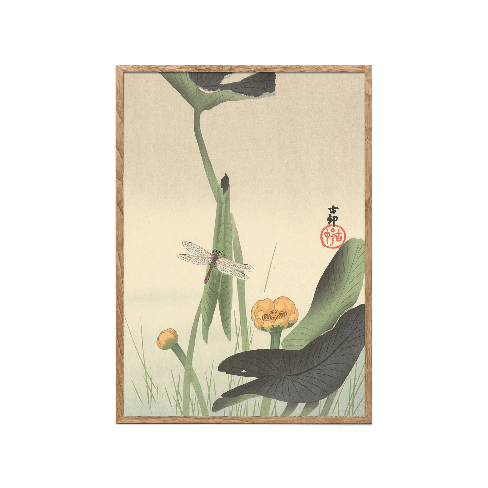 Libelle en Lotus