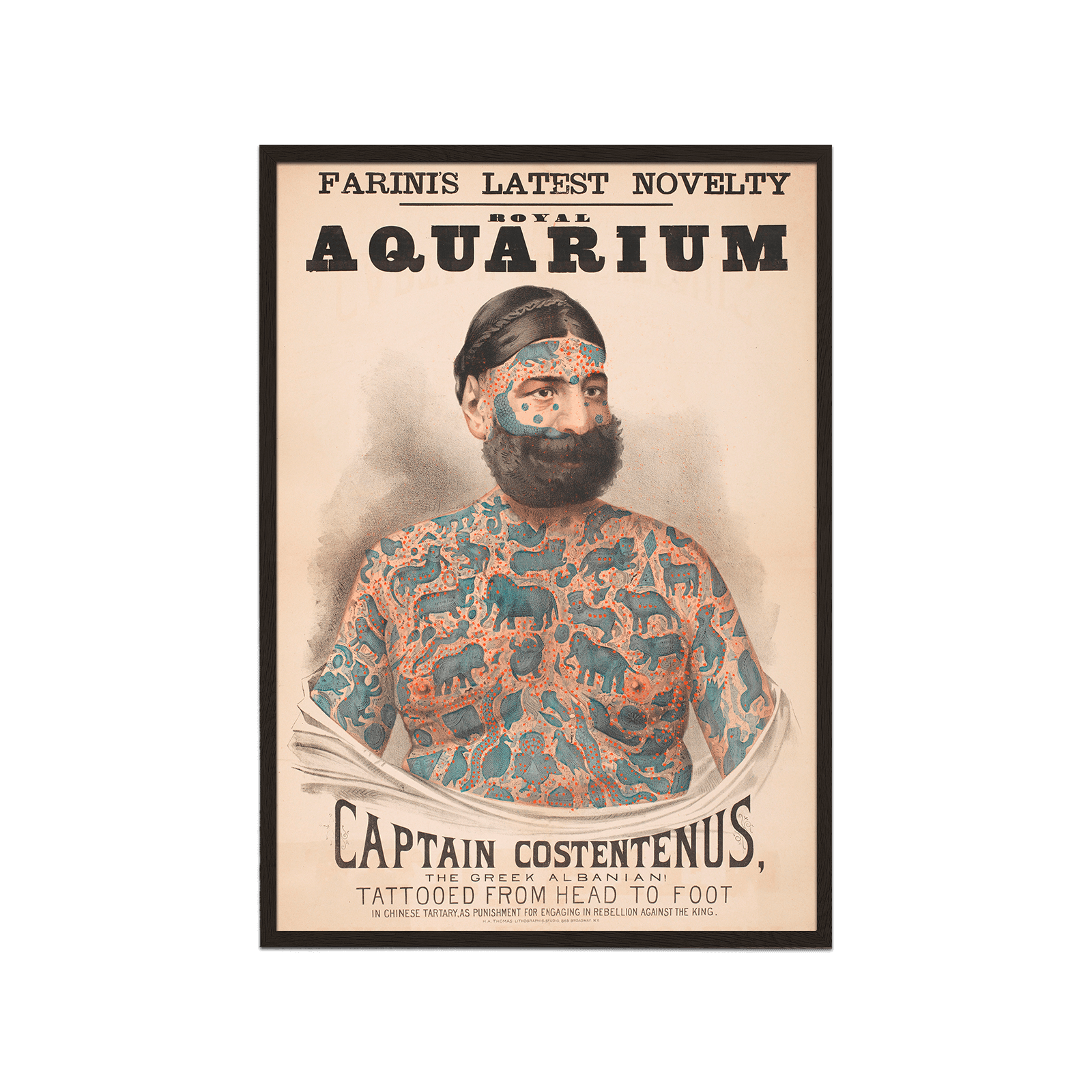 Captain Costentenus
