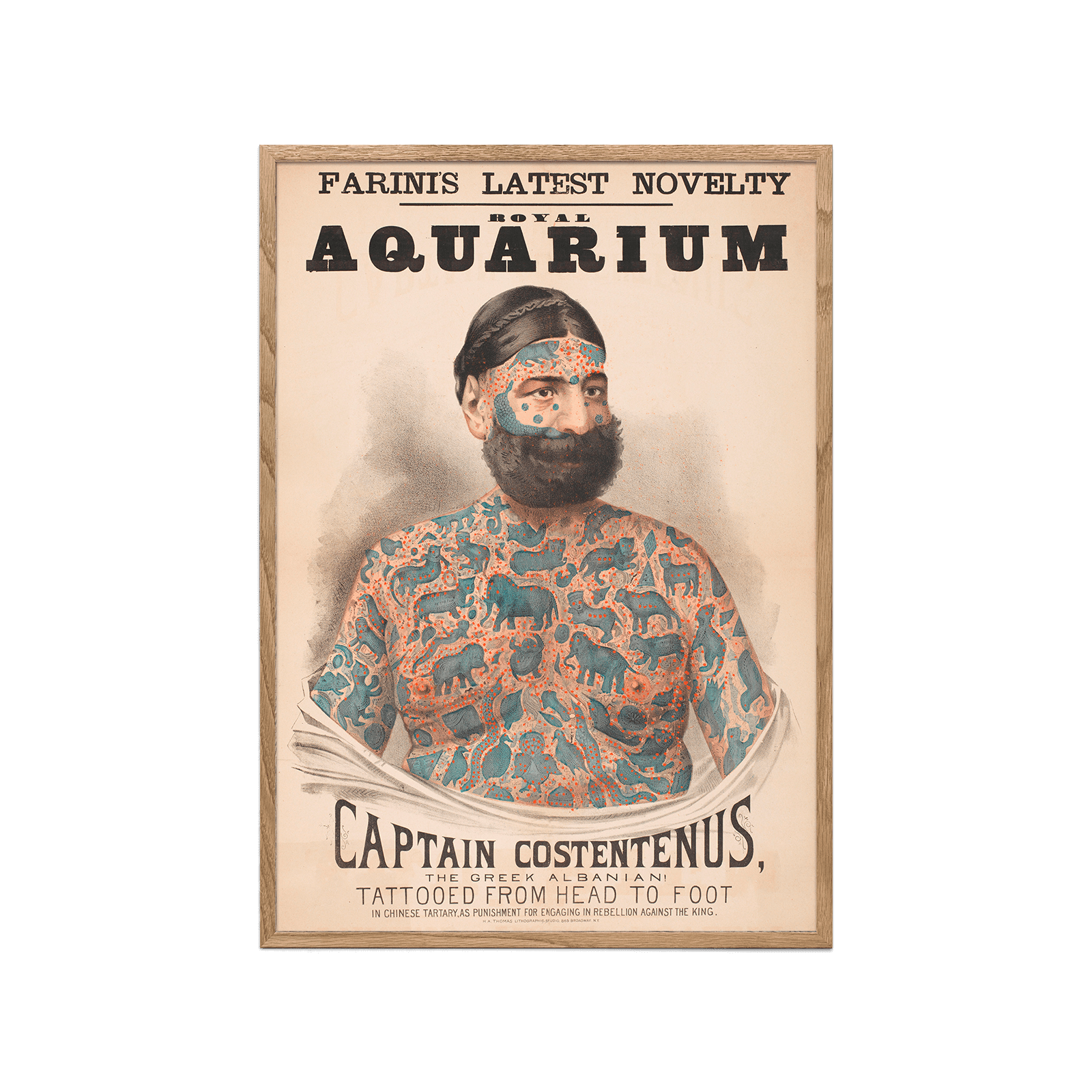 Captain Costentenus
