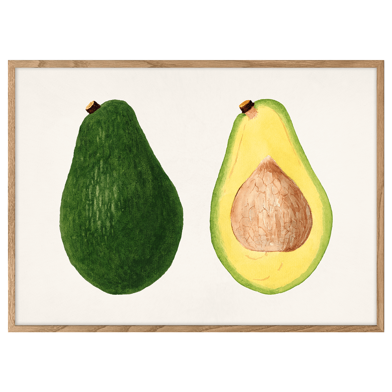 Avocados (Persea)