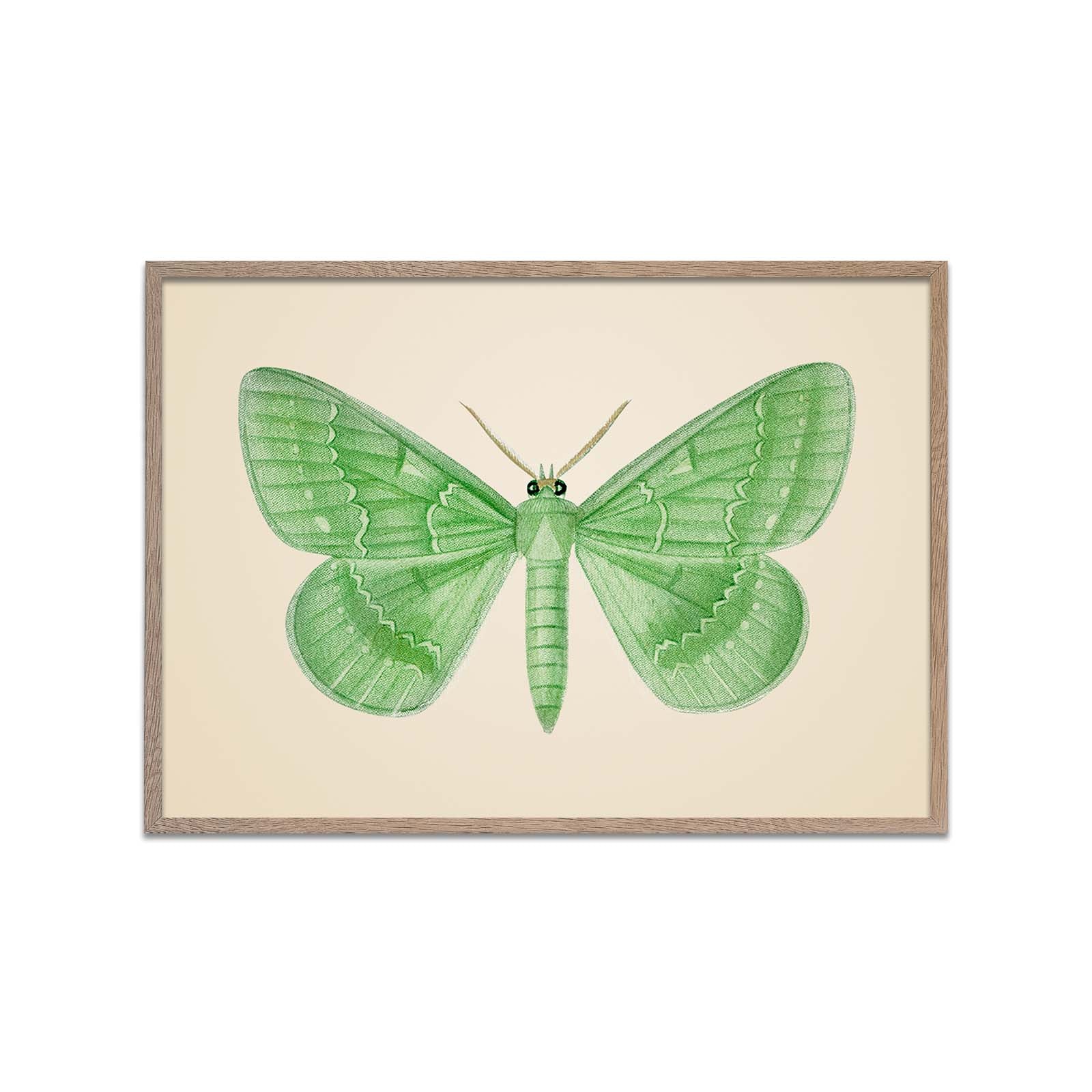 Large Emerald