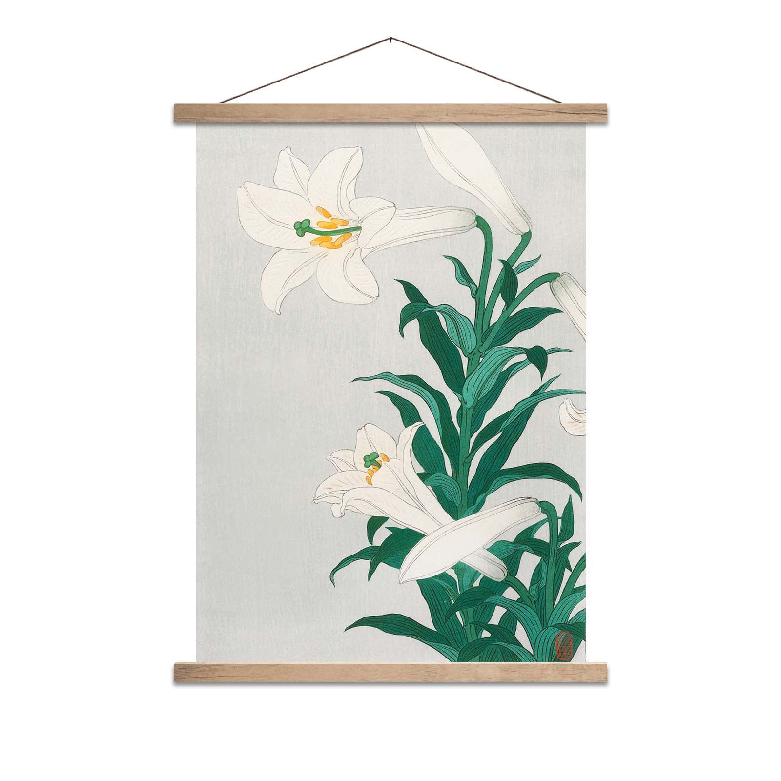 Lilies