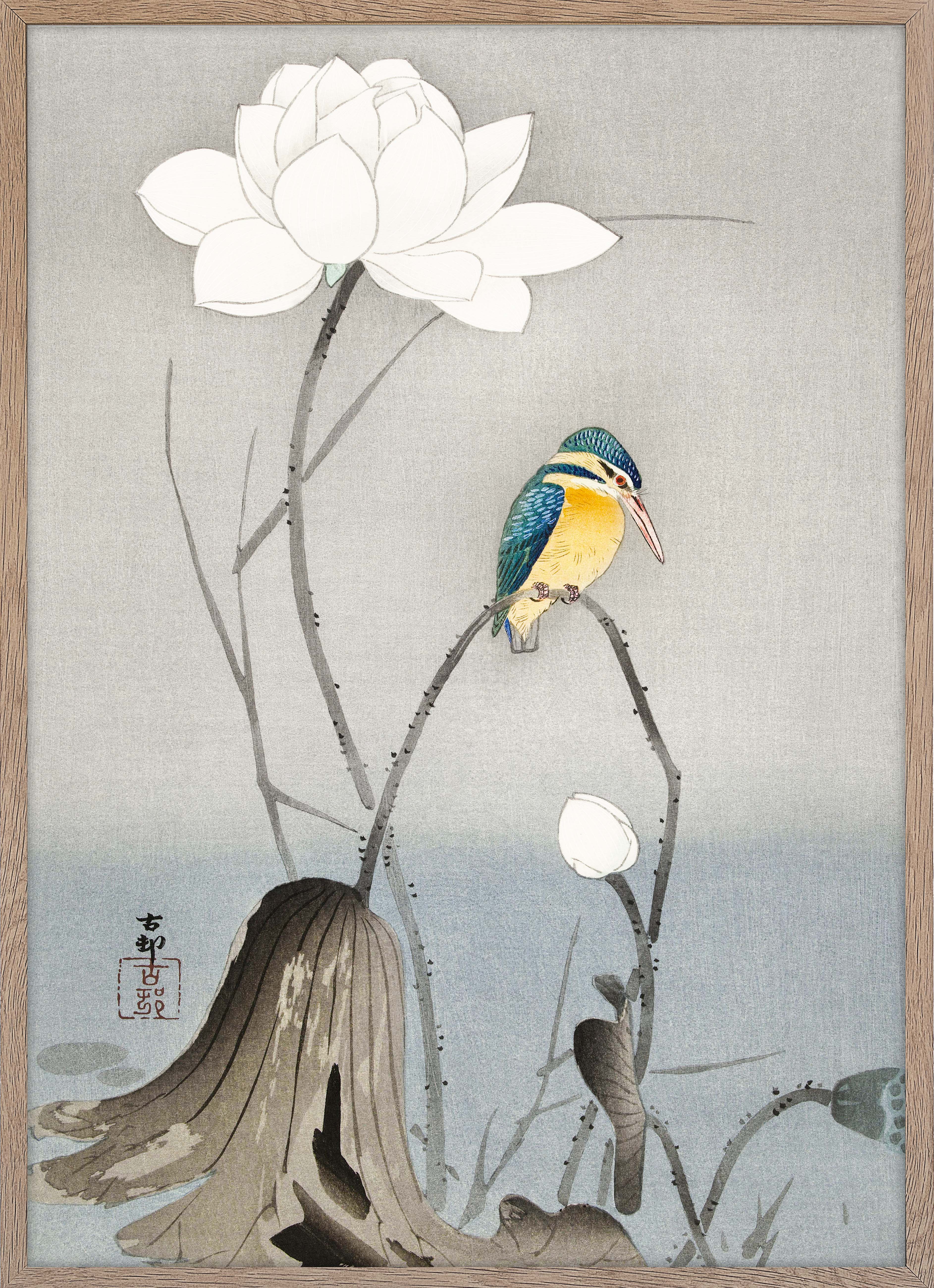 Kingfisher with Lotus Flower
