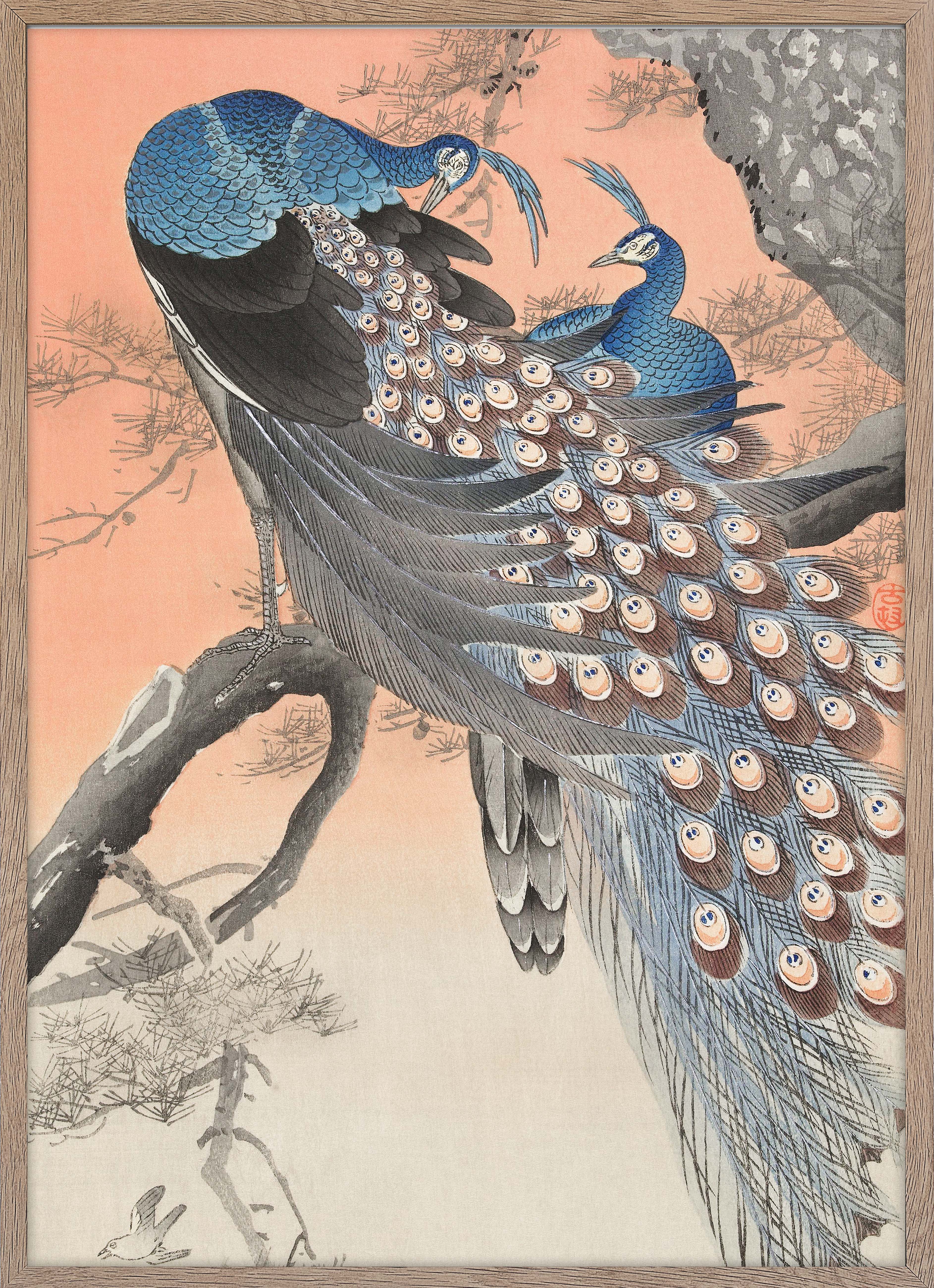 Two peacocks on tree branch