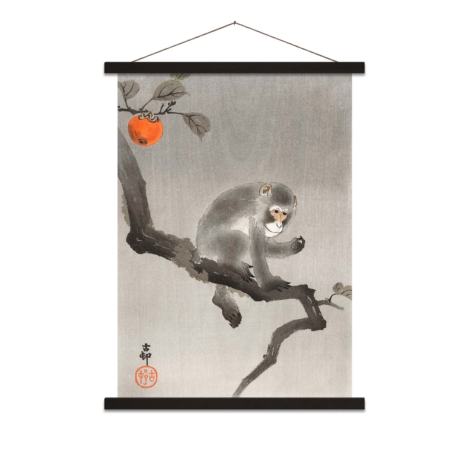Monkey In A Tree