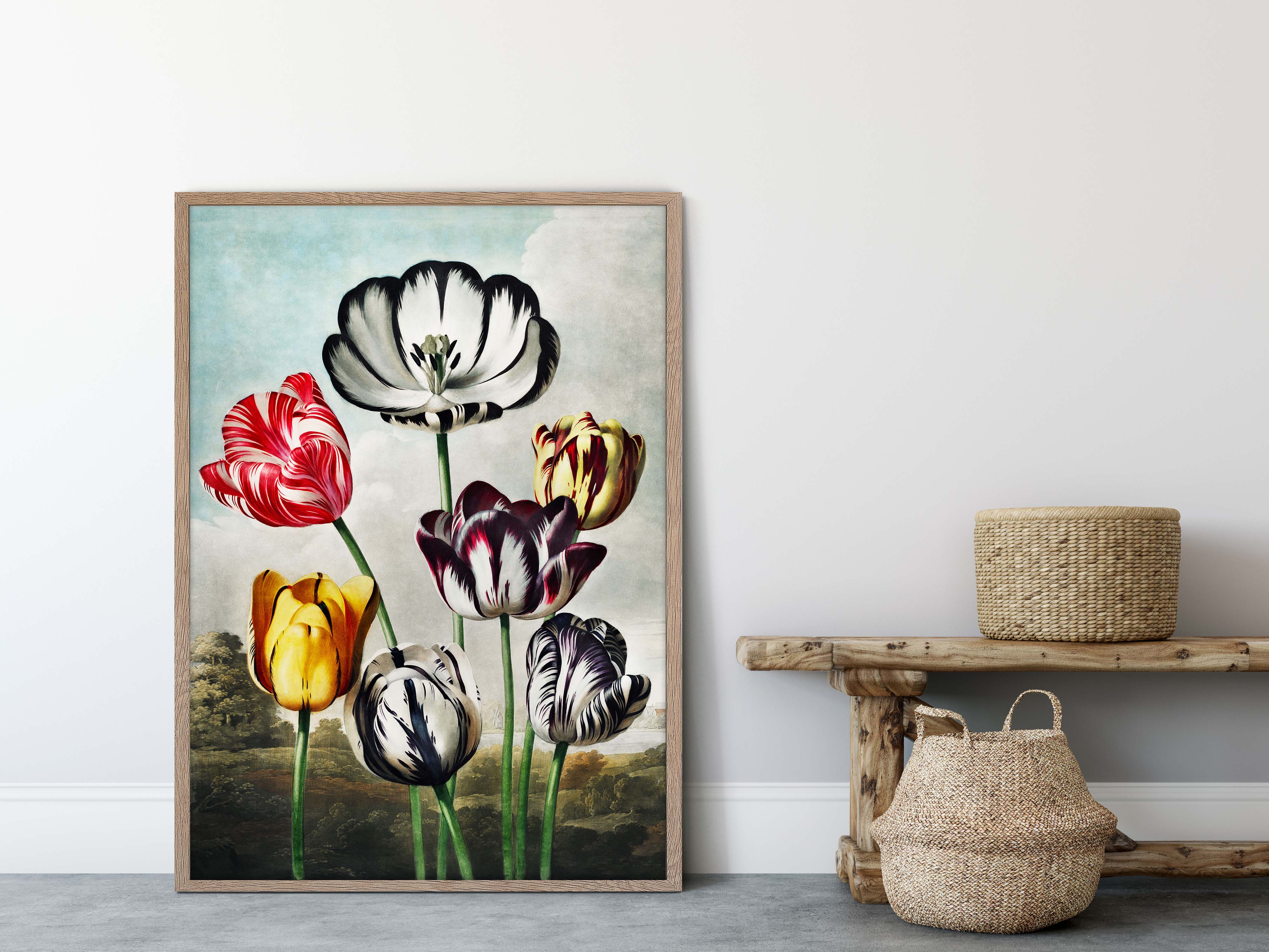 Tulips