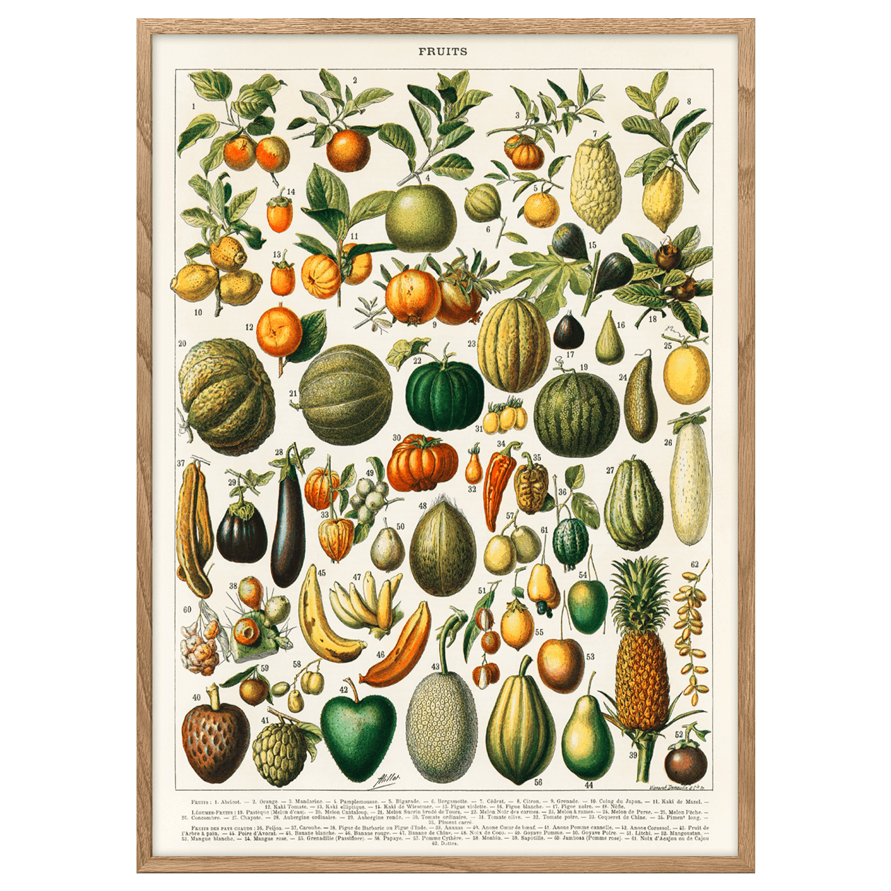 A Variety of Fruits And Vegetables