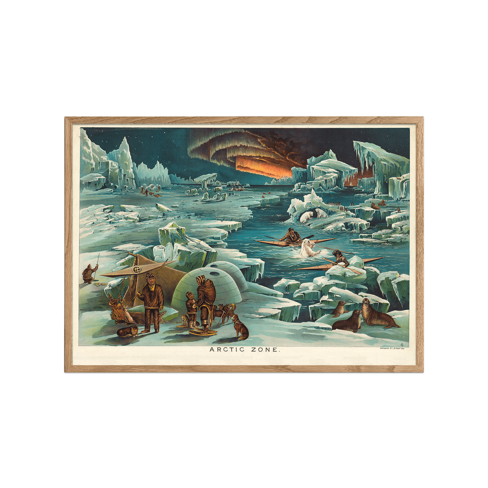 Arctic Zone