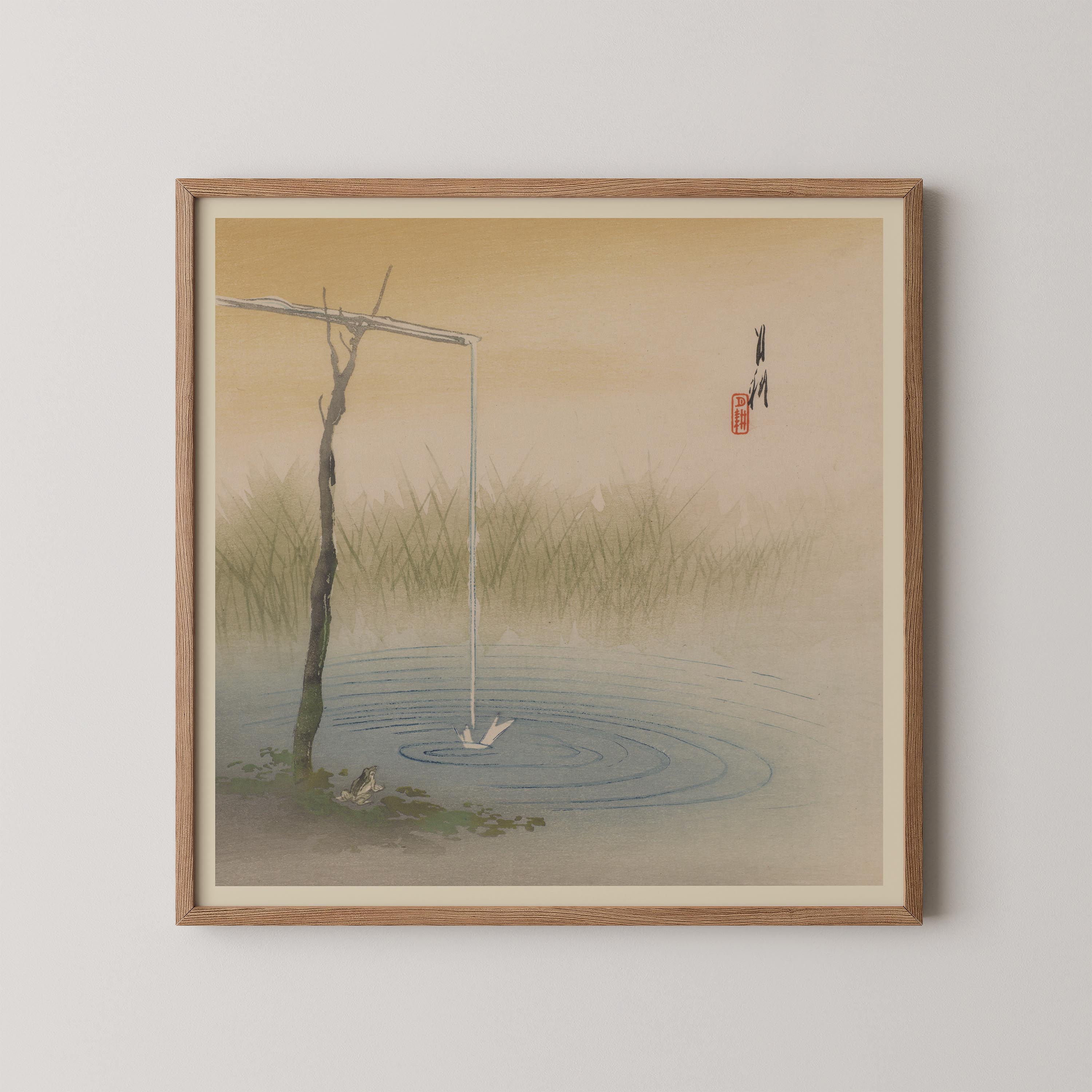 Water Spout And Frog