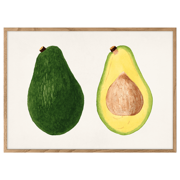 Avocados (Persea)