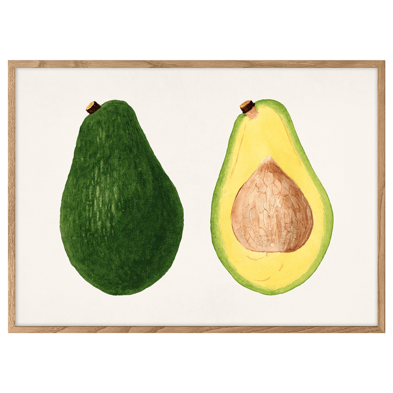 Avocados (Persea)