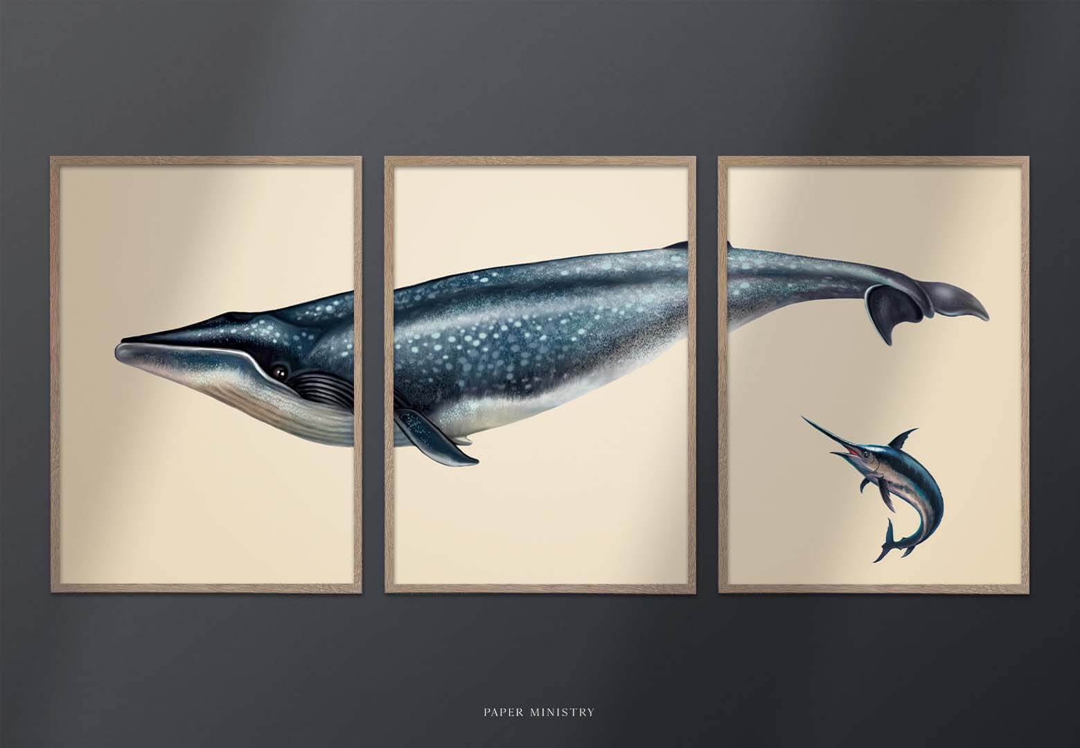 Blue Whale and Sword Fish 3in1