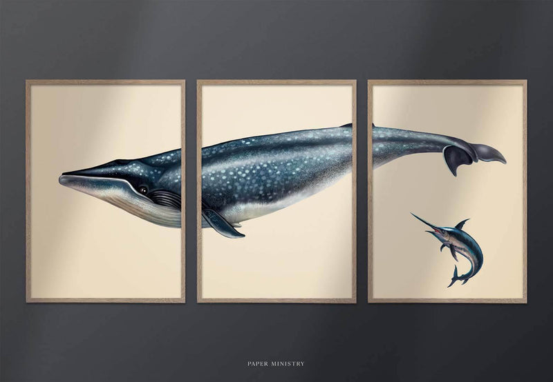 Blue Whale and Sword Fish 3in1