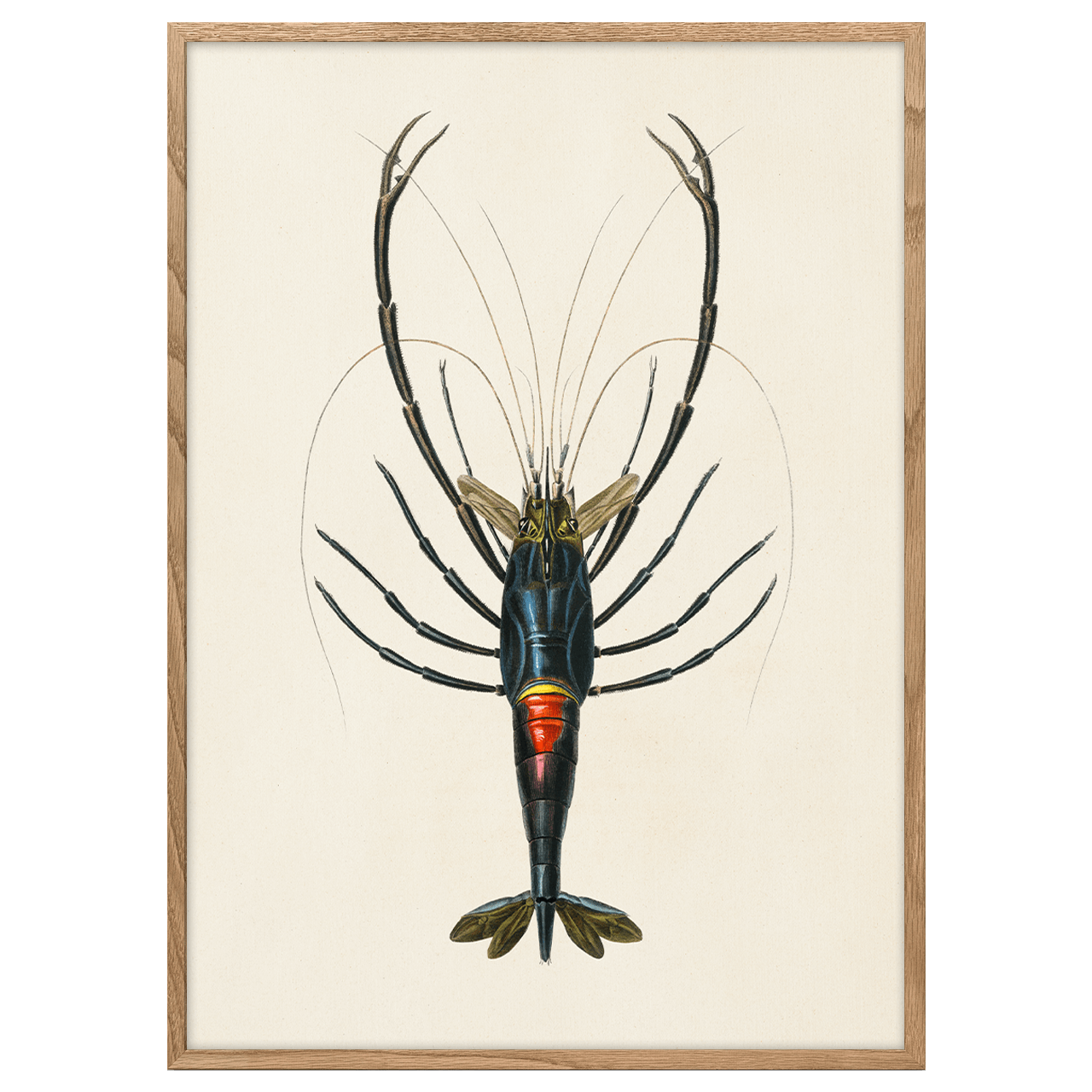 Crawfish
