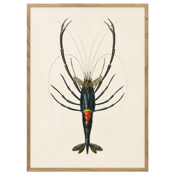 Crawfish