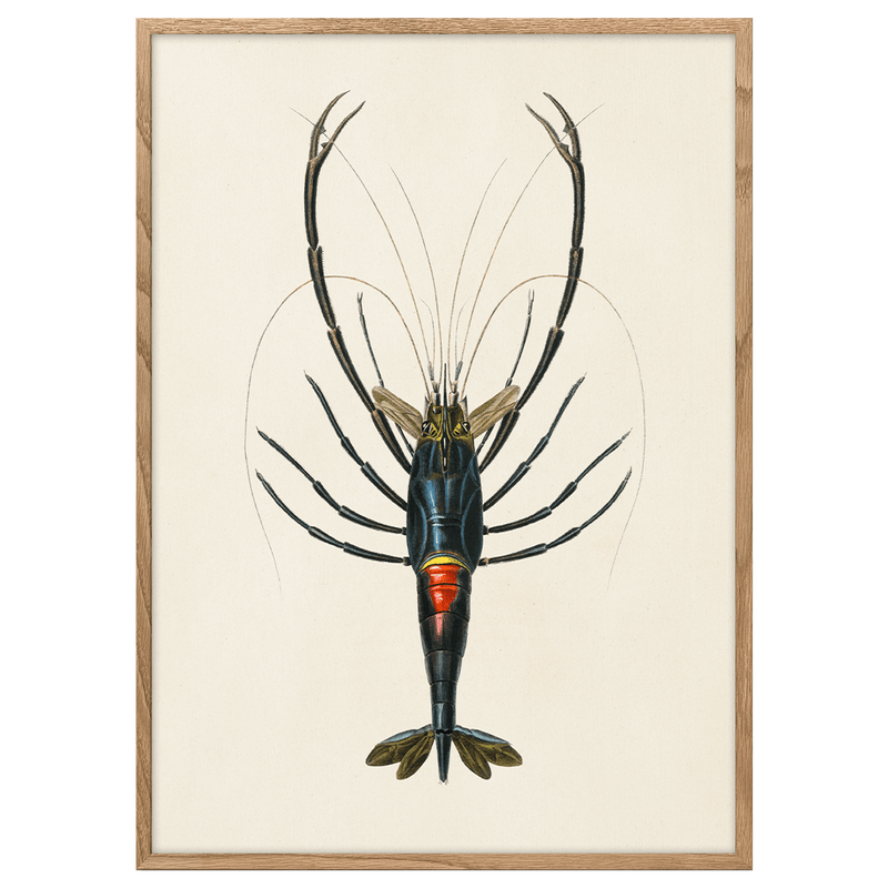 Crawfish