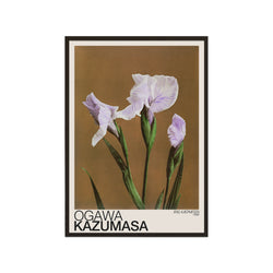 Iris Kæmpferi (Ogawa Kazumasa)