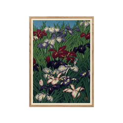 Iris (Ayame)