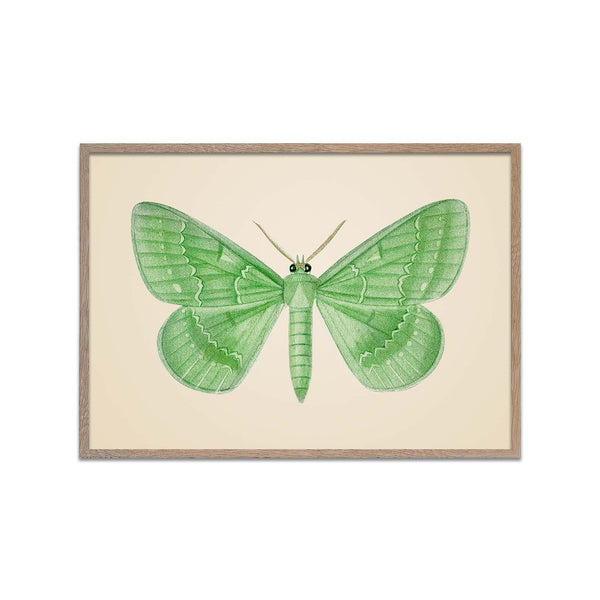 Large Emerald