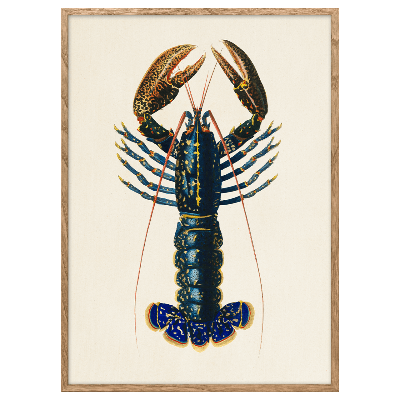Lobster