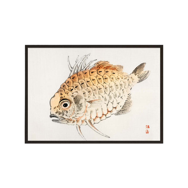 Japanese Fish