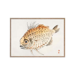 Japanese Fish