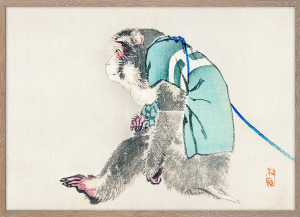Monkey