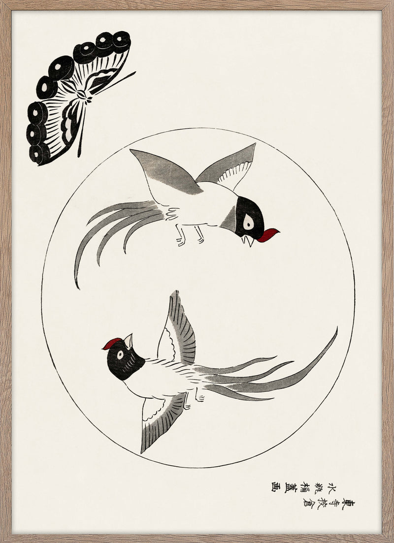 Birds and butterfly