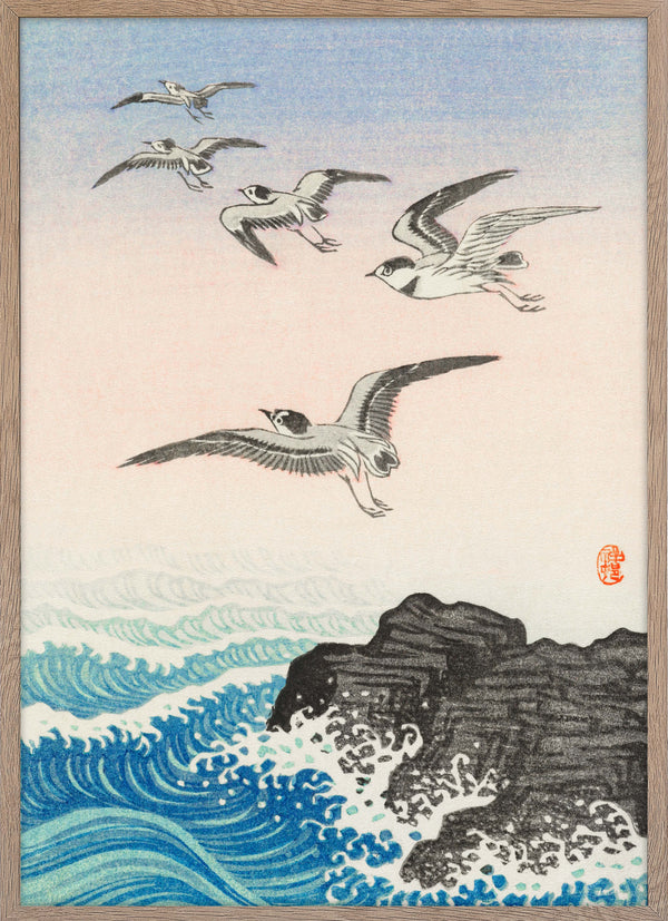 Five seagulls above the sea