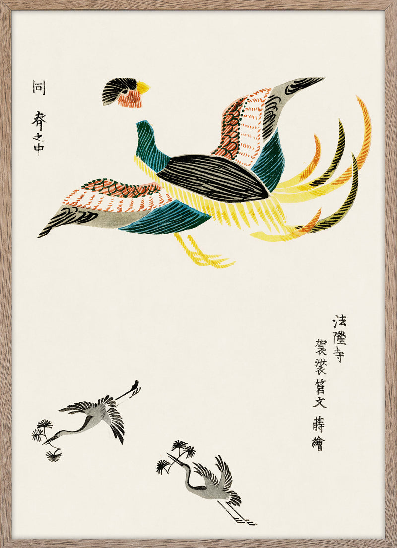 Flying crane (bird)