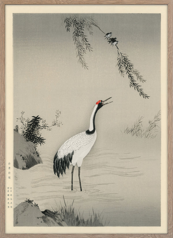 Japanese crane