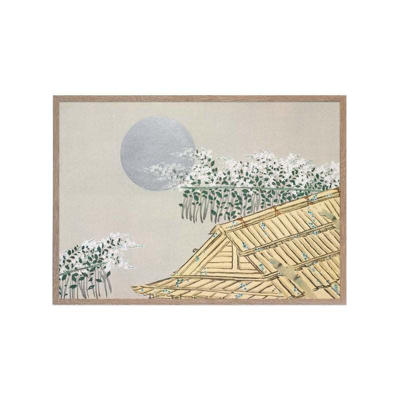 House from Momoyogusa