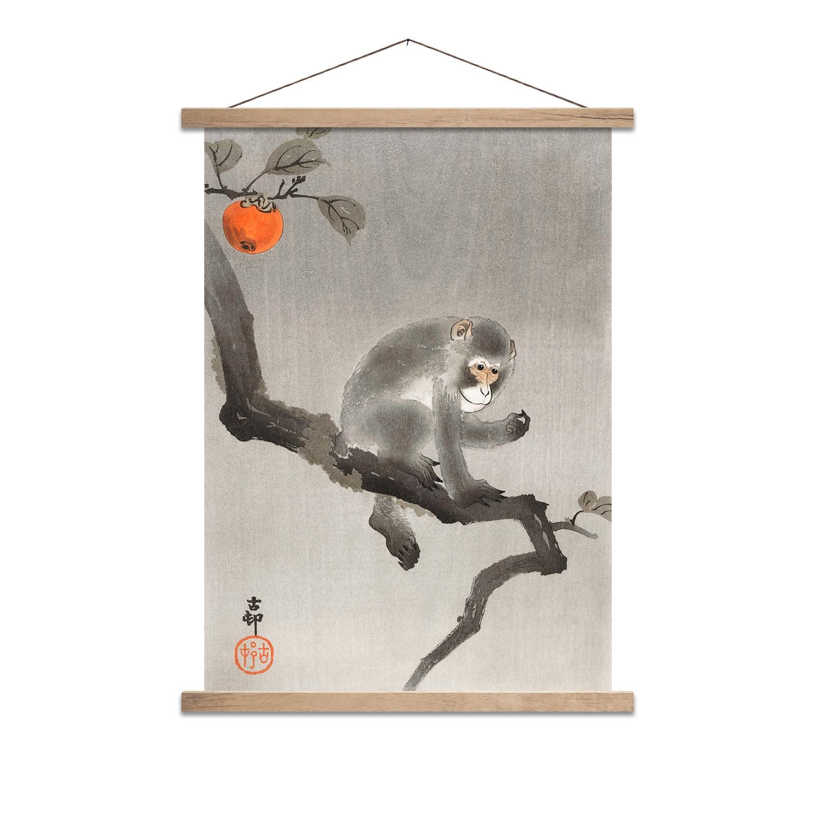 Monkey In A Tree