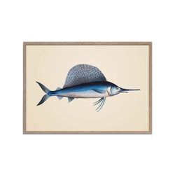 Ola-Fish