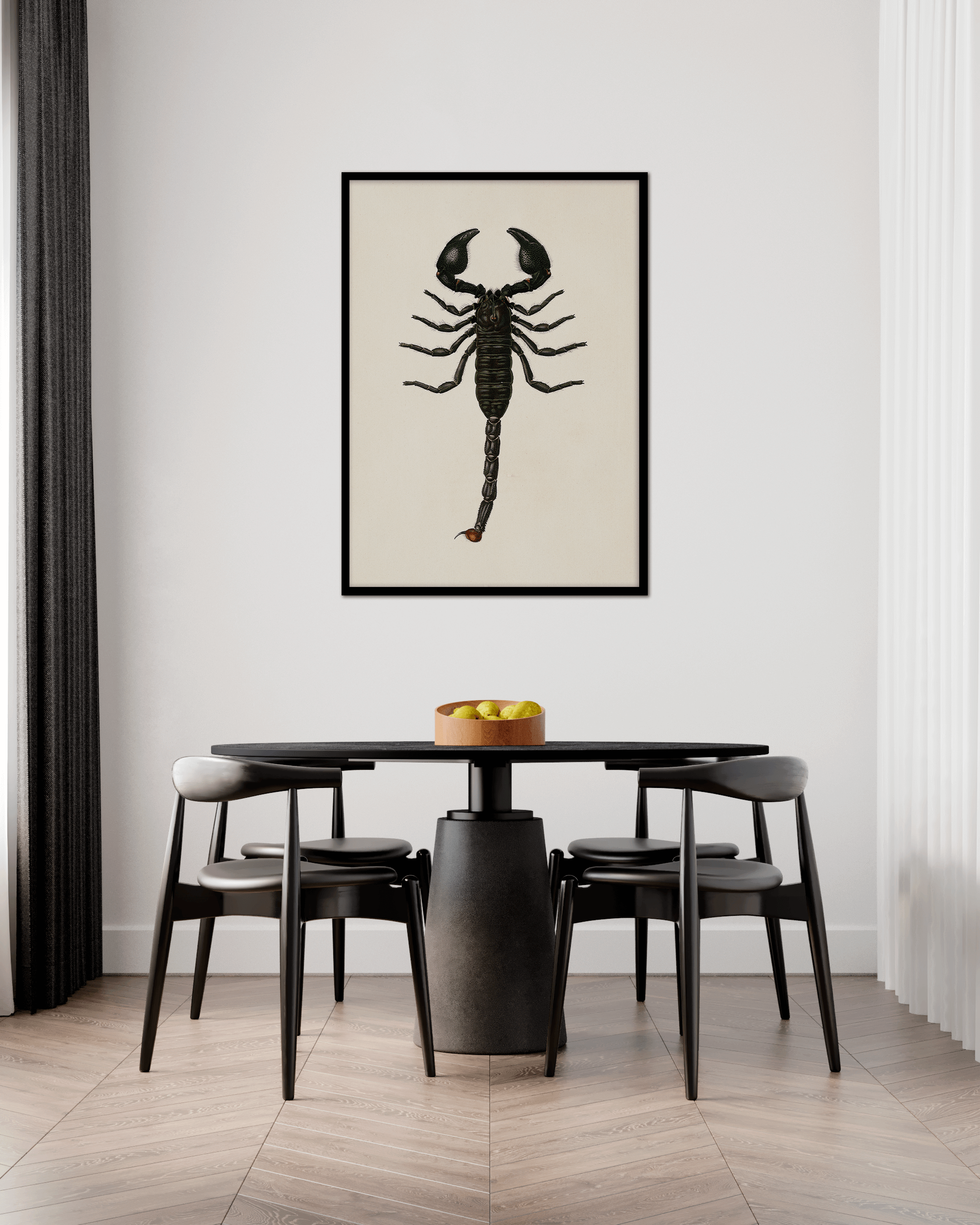 Emperor Scorpion