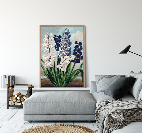 Hyacinths