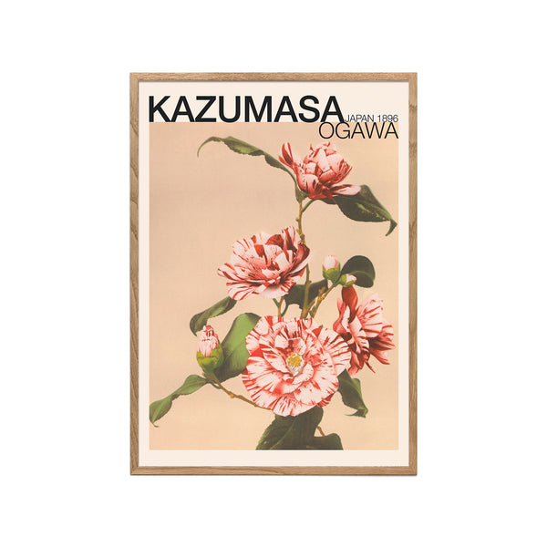 Striped Camellias (Ogawa Kazumasa)
