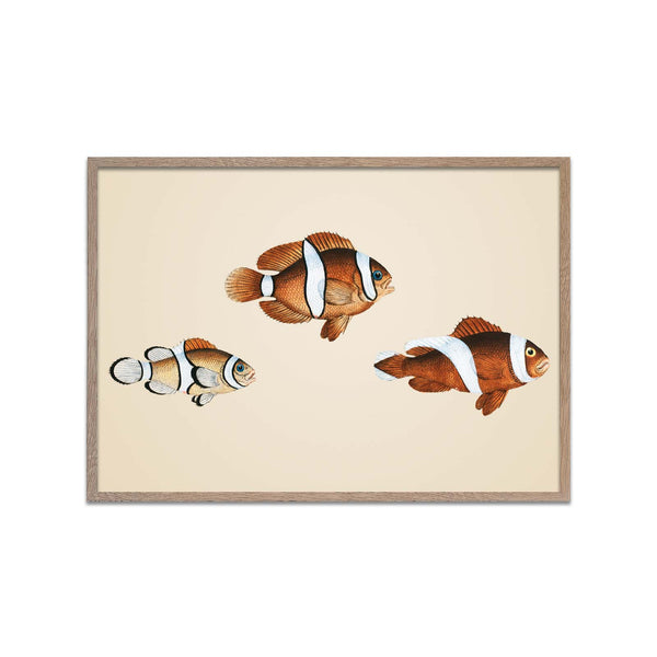 Three Fishes