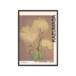 Three Yellow Chrysanthemums (Ogawa Kazumasa)