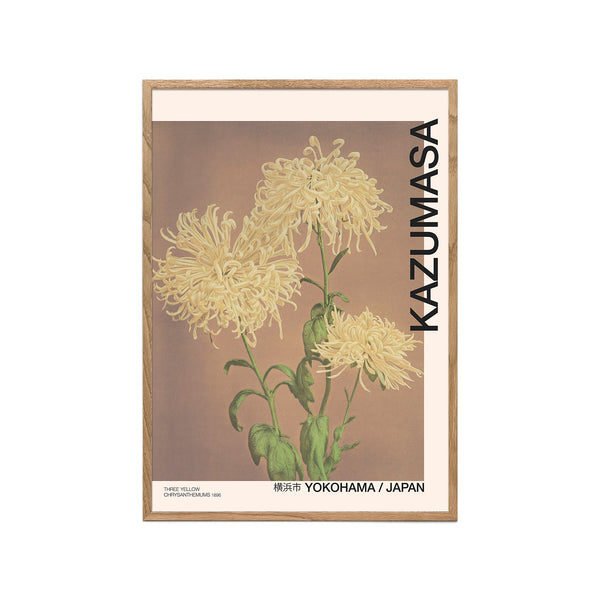 Three Yellow Chrysanthemums (Ogawa Kazumasa)