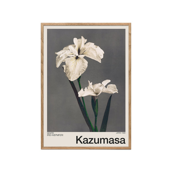 White Iris Kæmpferi (Ogawa Kazumasa)