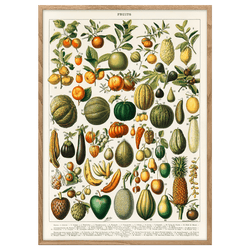 A Variety of Fruits And Vegetables