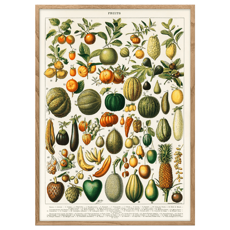 A Variety of Fruits And Vegetables