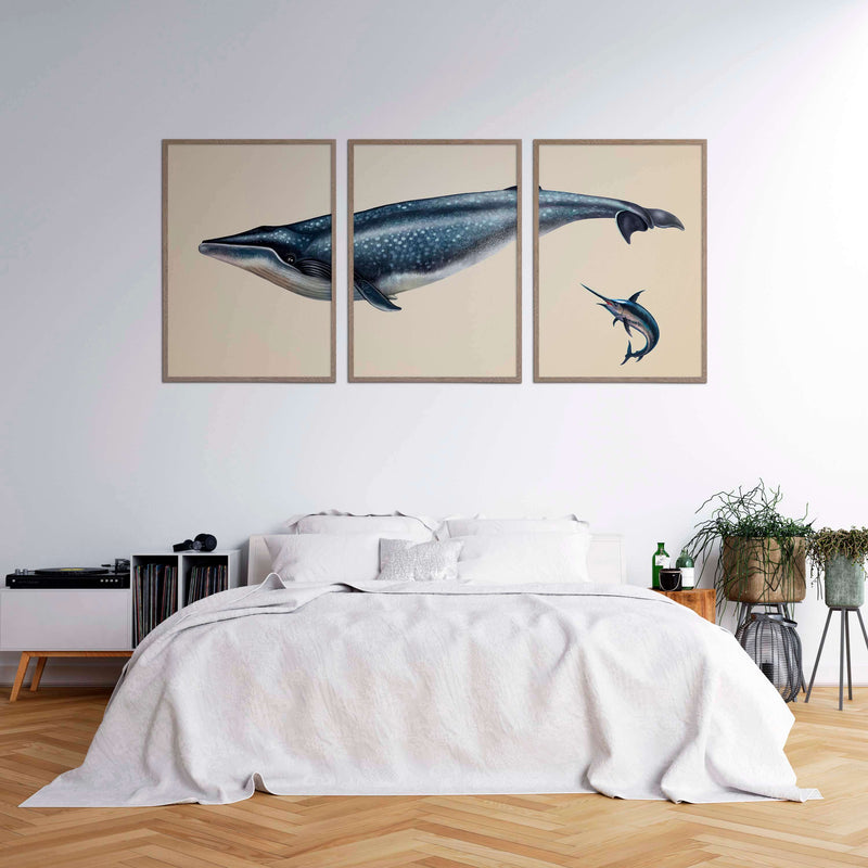 Blue Whale and Sword Fish 3in1