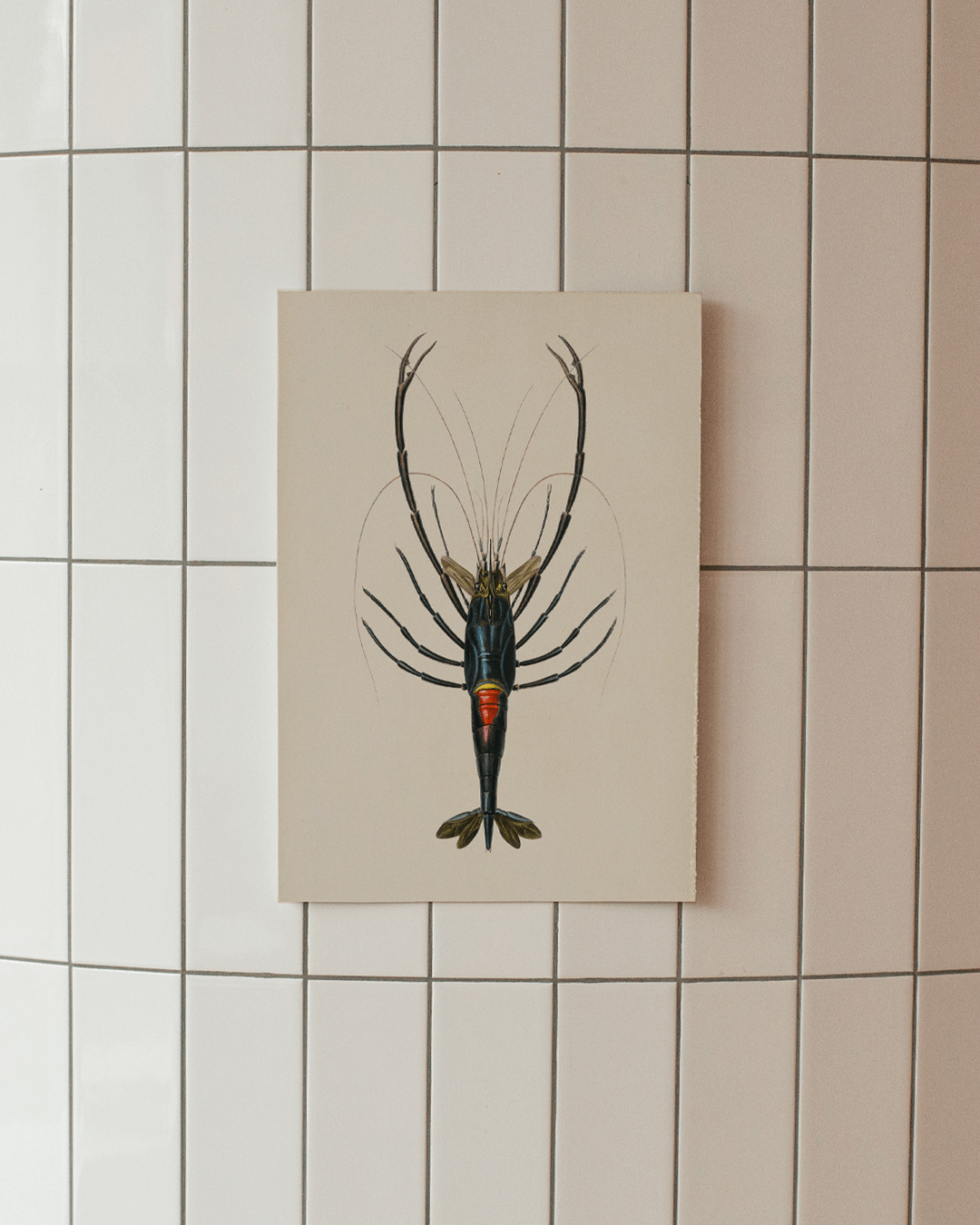 Crawfish