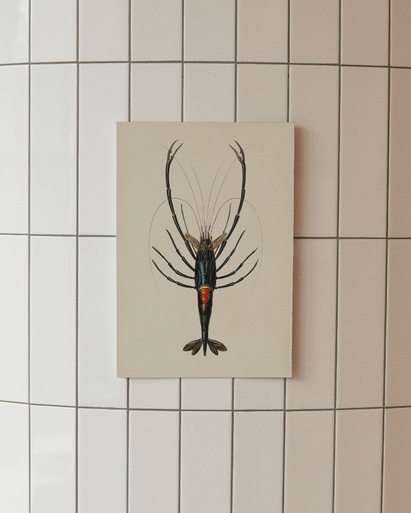 Crawfish