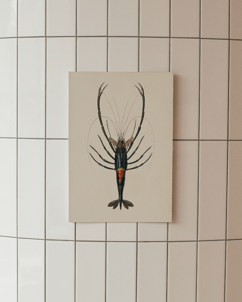 Crawfish